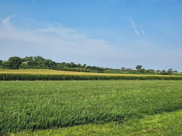 Prairie View PL, Rockford, IA 50468