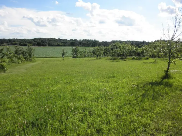 Foothill AVE, St. Ansgar, IA 50472