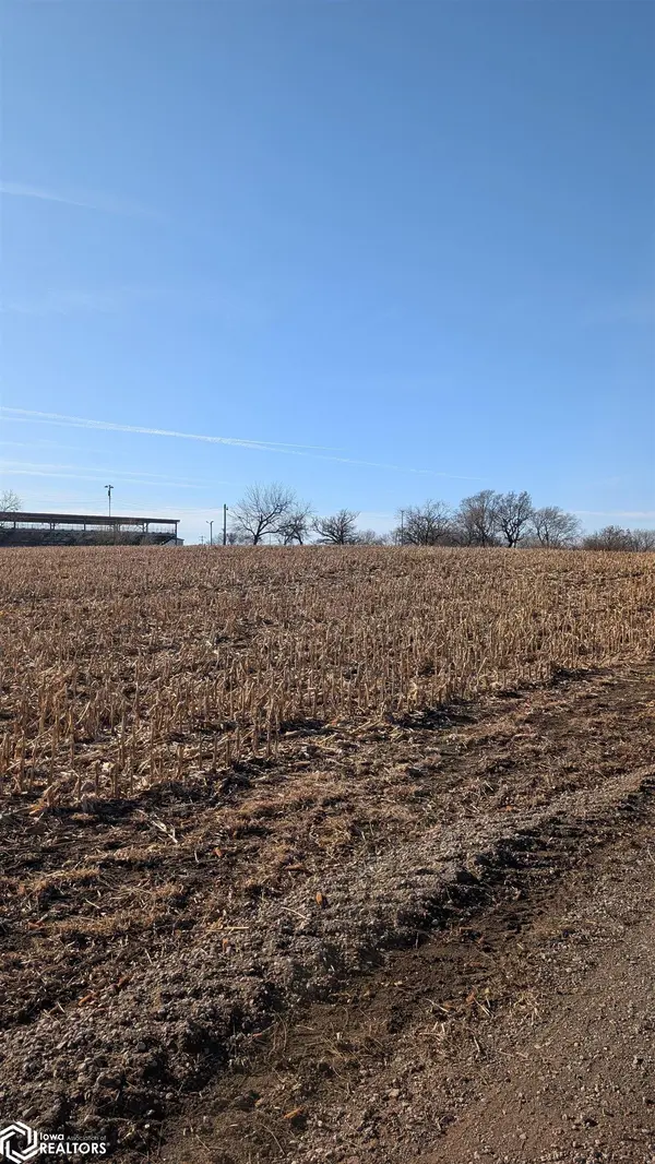 100 Wilson ST, Sidney, IA 51652