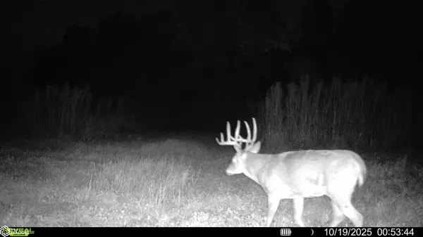 12510 G24 Hwy, Indianola, IA 50125