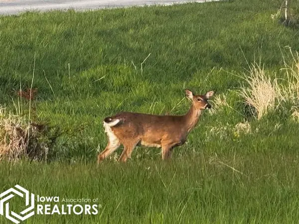Lot 42 Parkside Knolls, Moravia, IA 52571