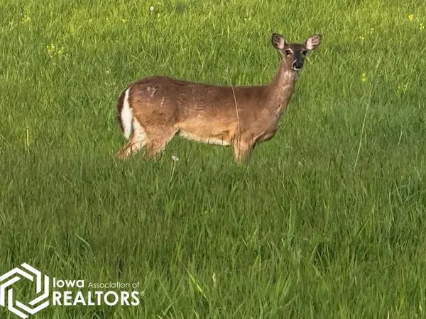 Lot 42 Parkside Knolls, Moravia, IA 52571