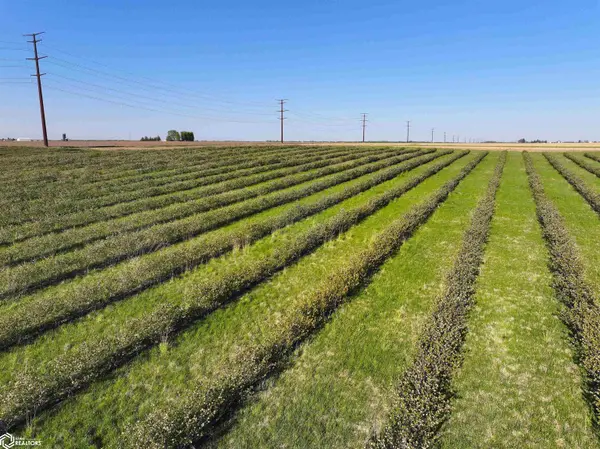 6050 Duffy RD, Fairbank, IA 50629