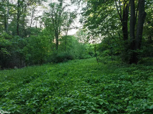 Bluff RD, New Boston, IL 61272