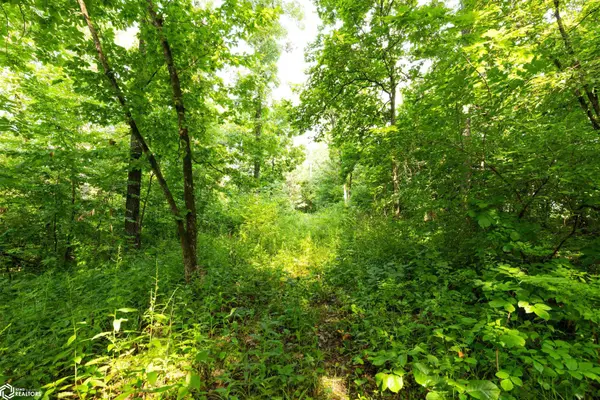 14500 Irish Ridge RD, Burlington, IA 52601