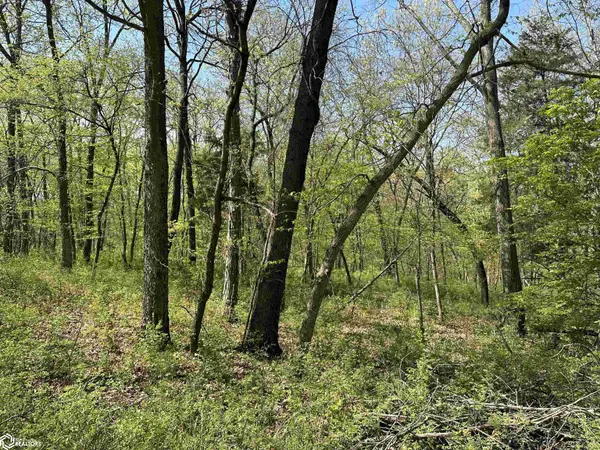 TBD 170th Street, Birmingham, IA 52535