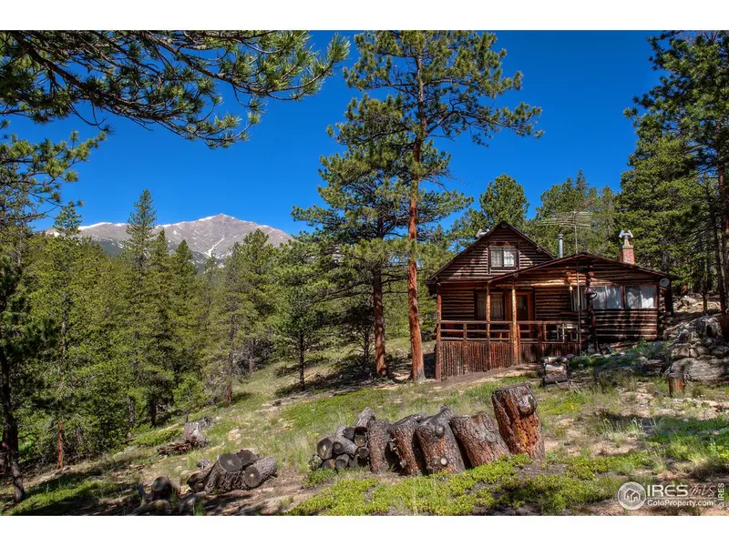 1217 Big Owl, Allenspark, CO 80510