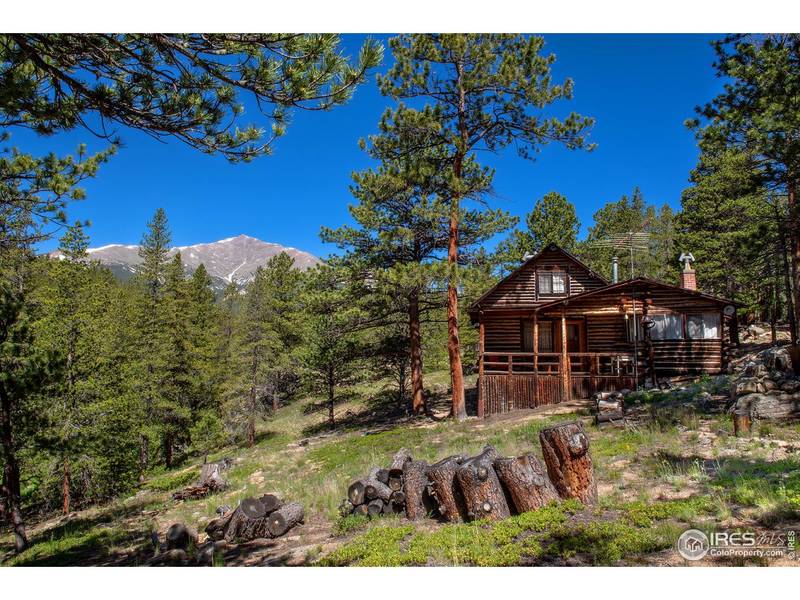 1217 Big Owl, Allenspark, CO 80510