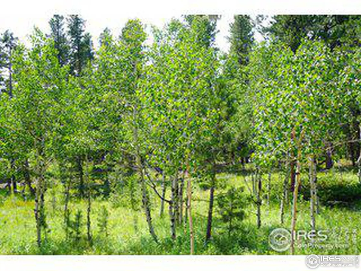 246 Tahosa Park South, Allenspark, CO 80510