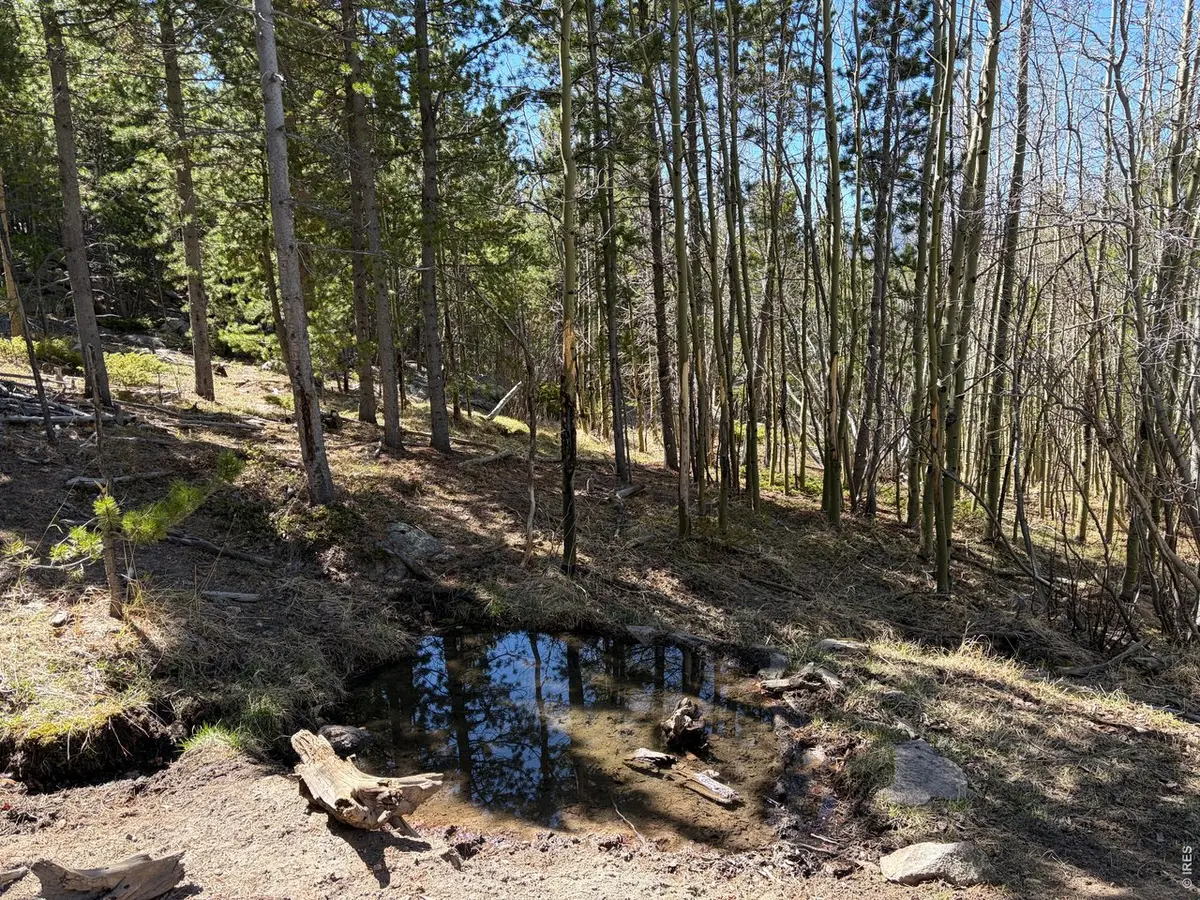 0 Bear Gulch, Red Feather Lakes, CO 80545