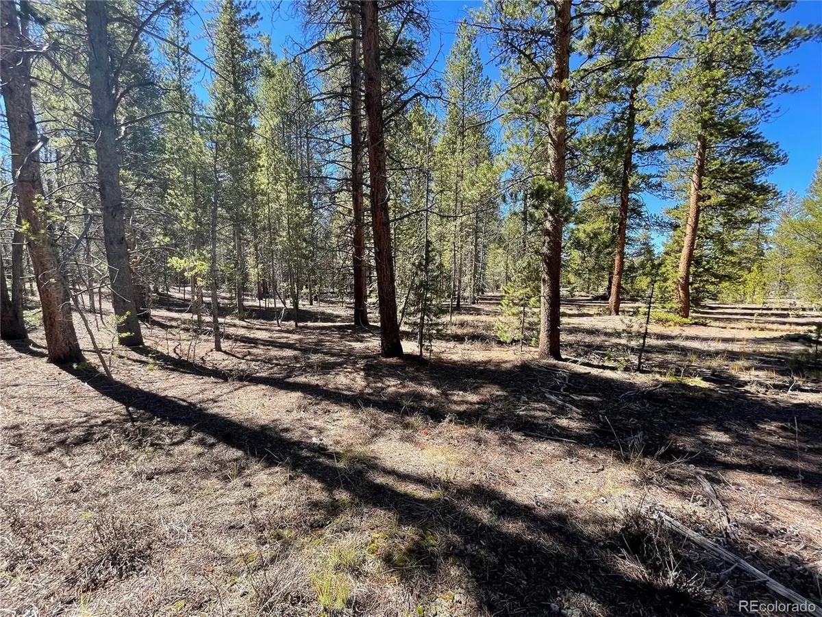 251 Virginia, Leadville, CO 80461