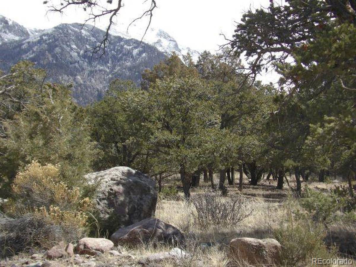 255 Baca Grant, Crestone, CO 81131