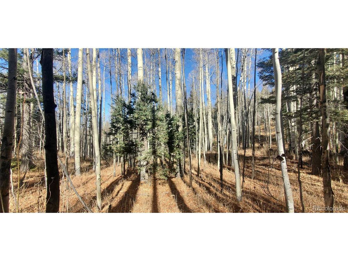 6060 Forbes, San Luis, CO 81152