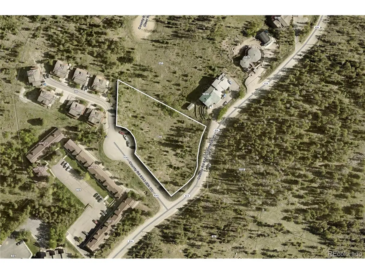 16 County Rd 8343/Elk, Fraser, CO 80442