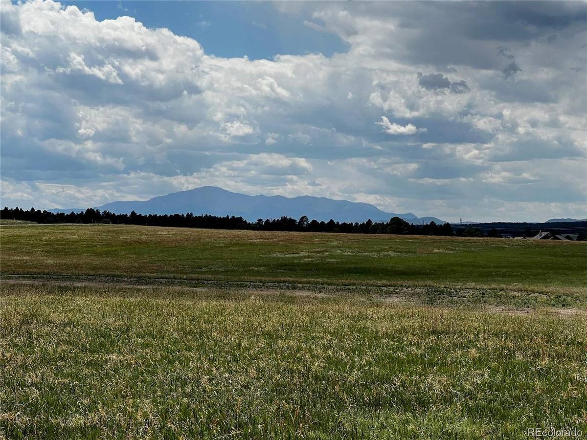 16990 Early Light, Colorado Springs, CO 80908