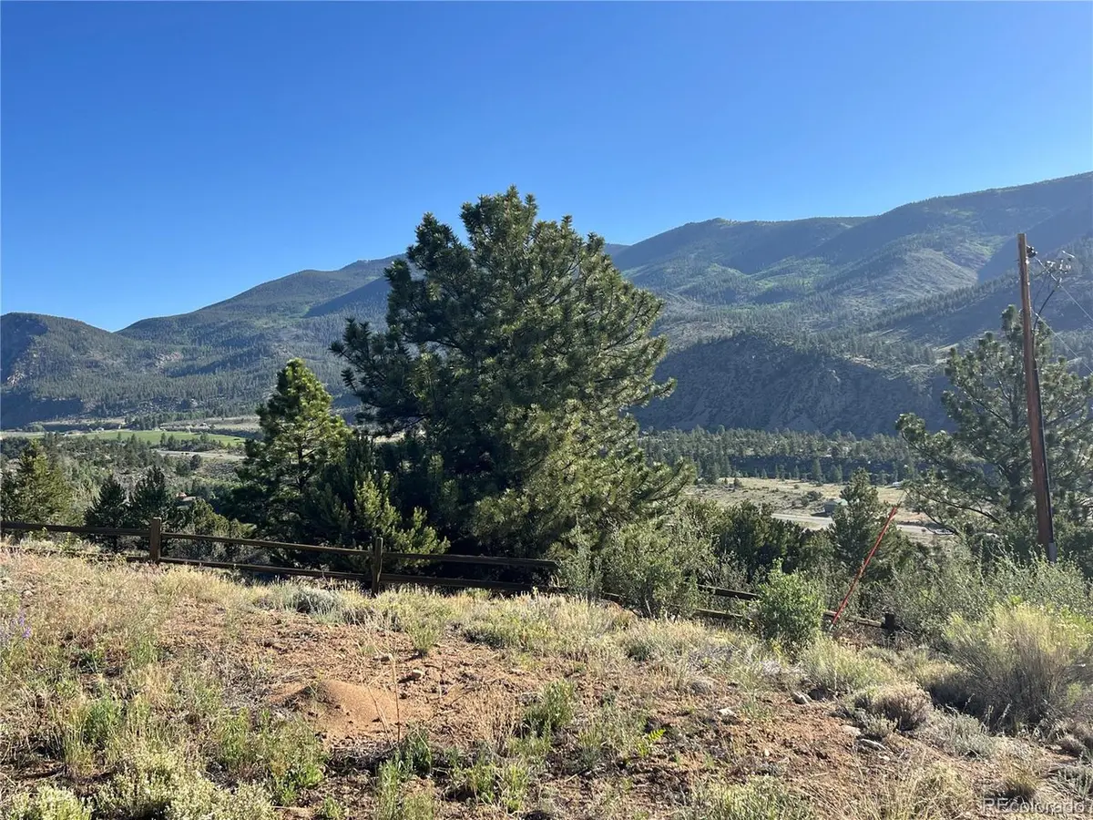 18322 S Lake, Buena Vista, CO 81211
