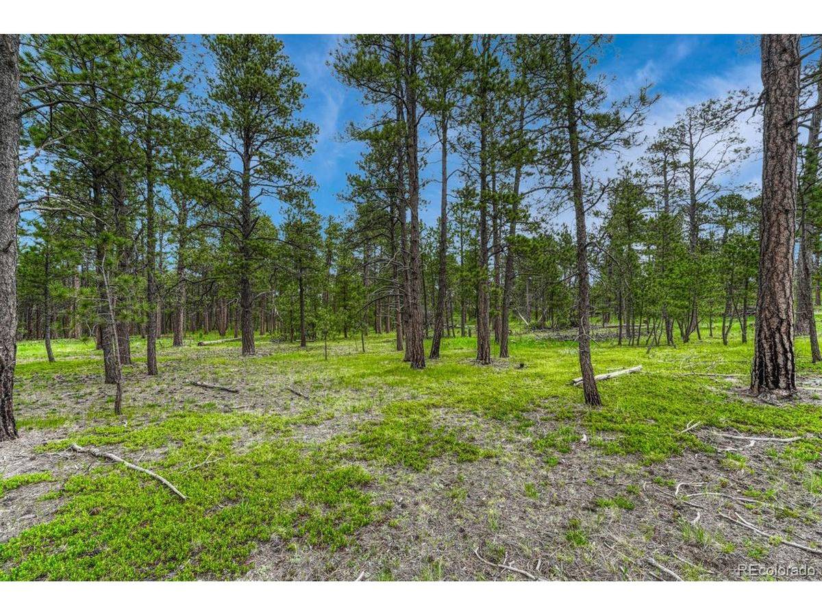 0 Wyandott, Colorado Springs, CO 80908
