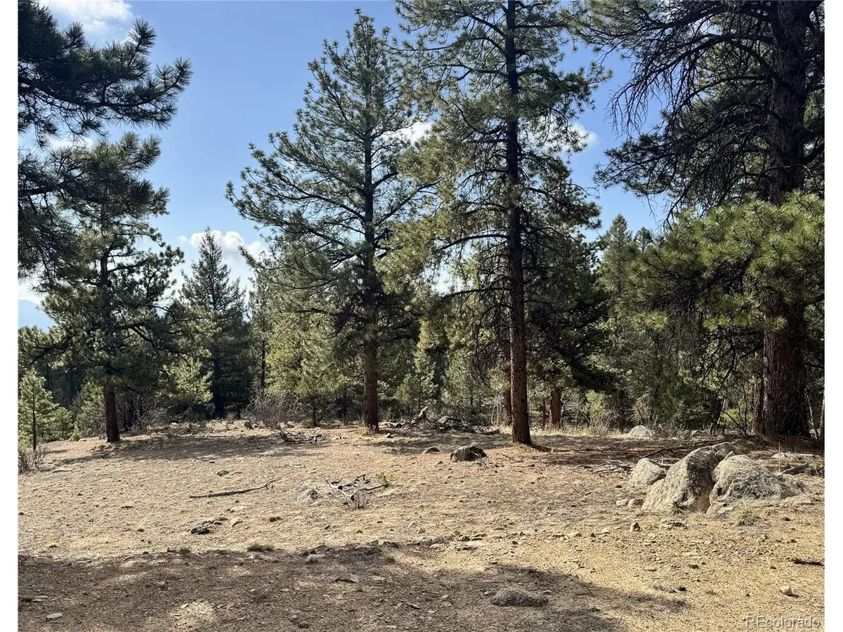 30317 Aspen Turn, Buena Vista, CO 81211