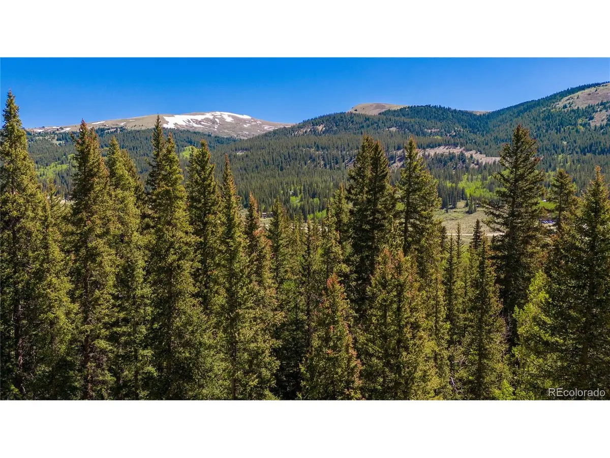 797 Peterson, Fairplay, CO 80440