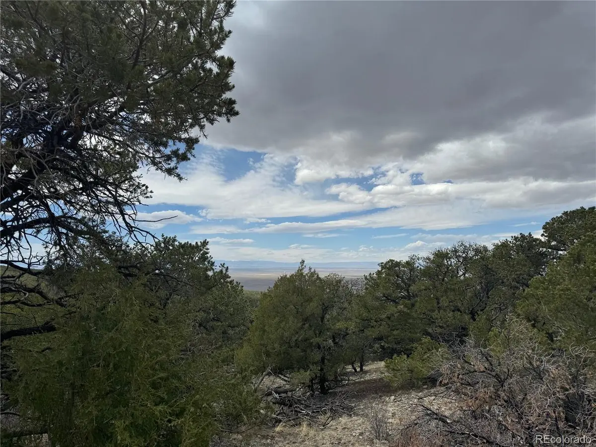 338 Cedar Ridge, Mosca, CO 81146