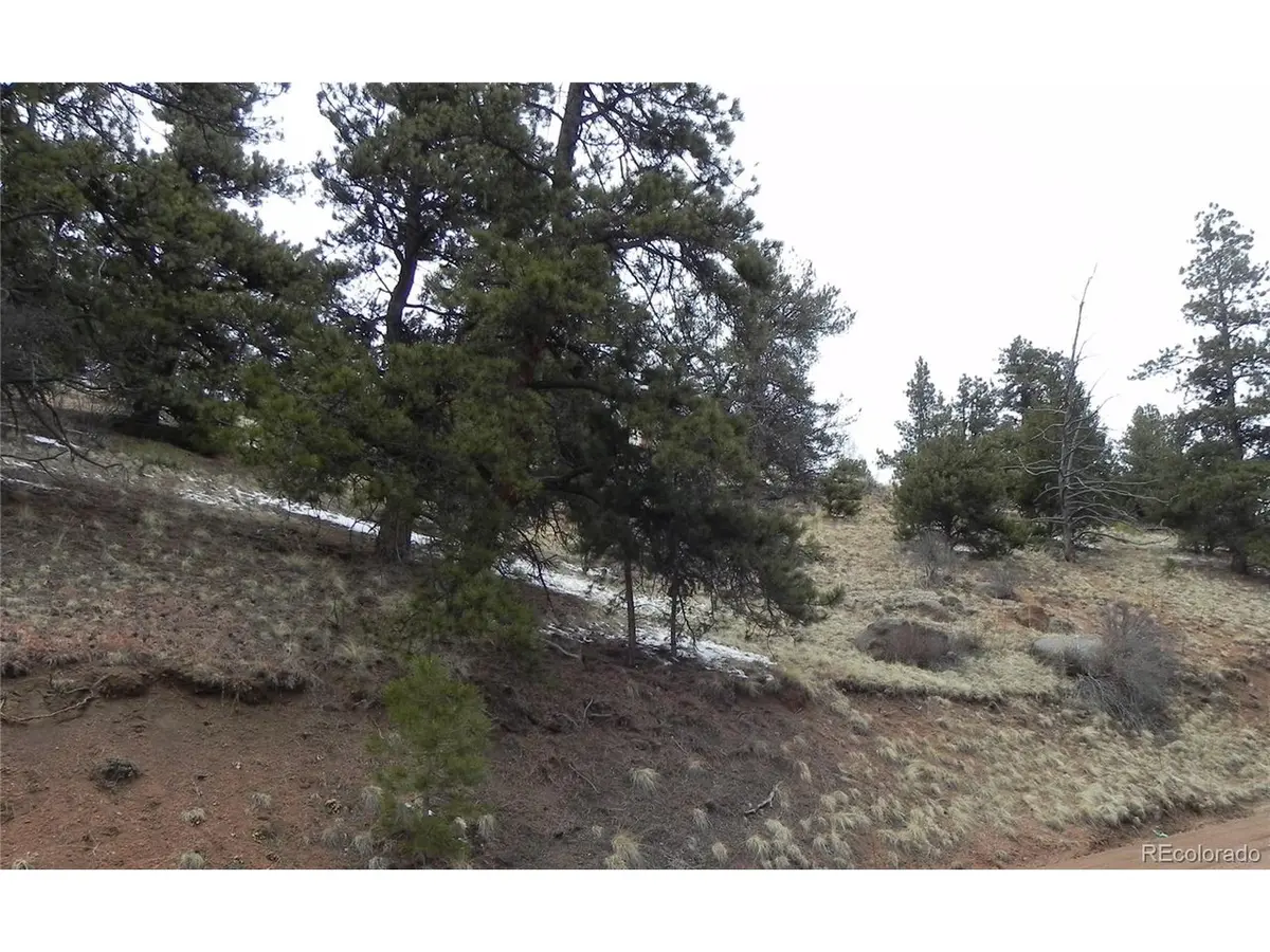 153 Idlewild, Cripple Creek, CO 80813