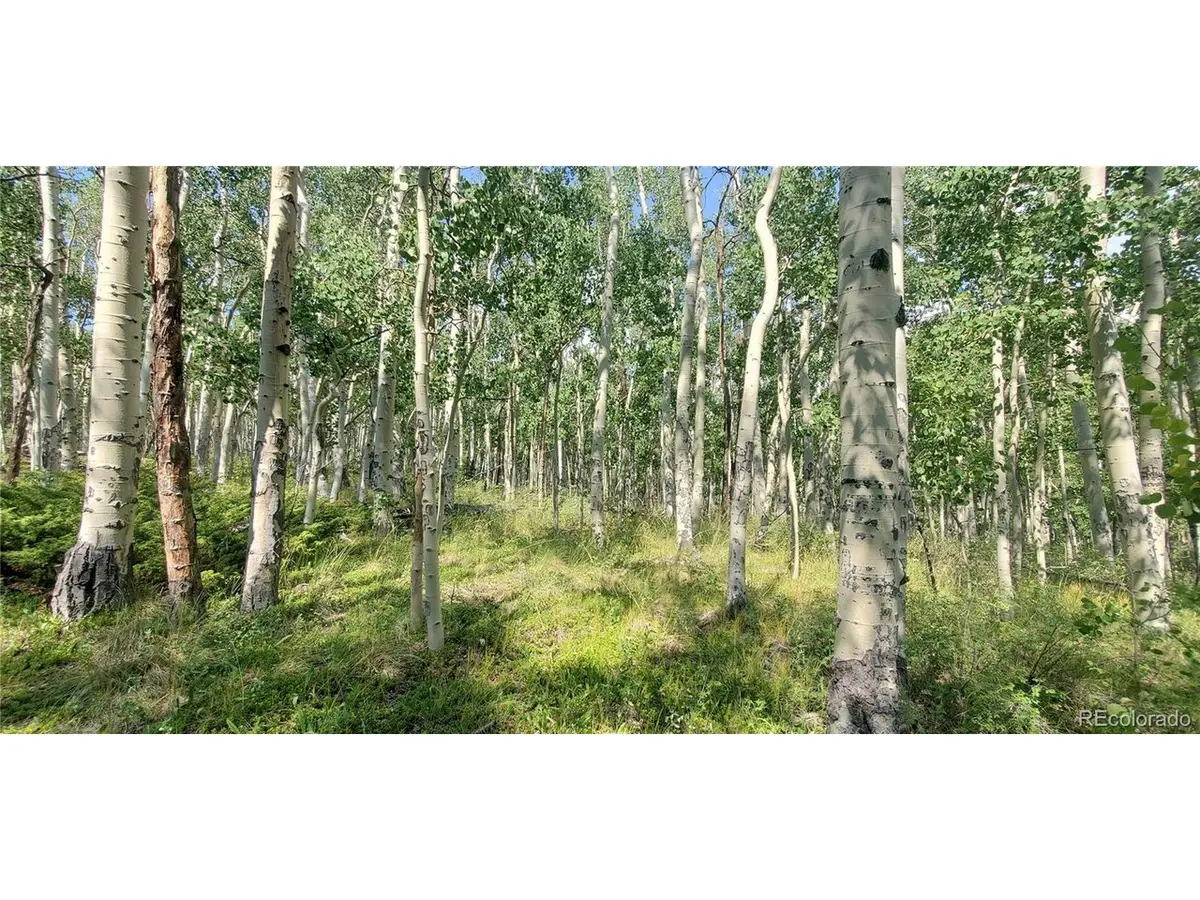 Address not disclosed, Fort Garland, CO 81133