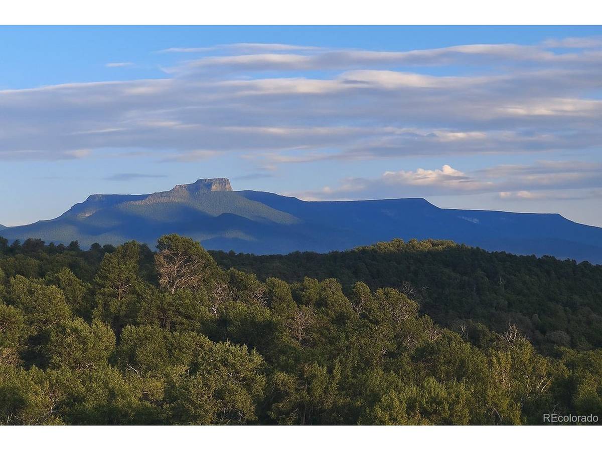 14585 Indian Spring, Trinidad, CO 81082
