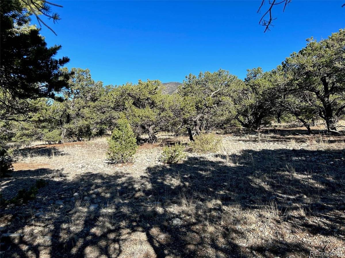 3 Mill Run, Mosca, CO 81146