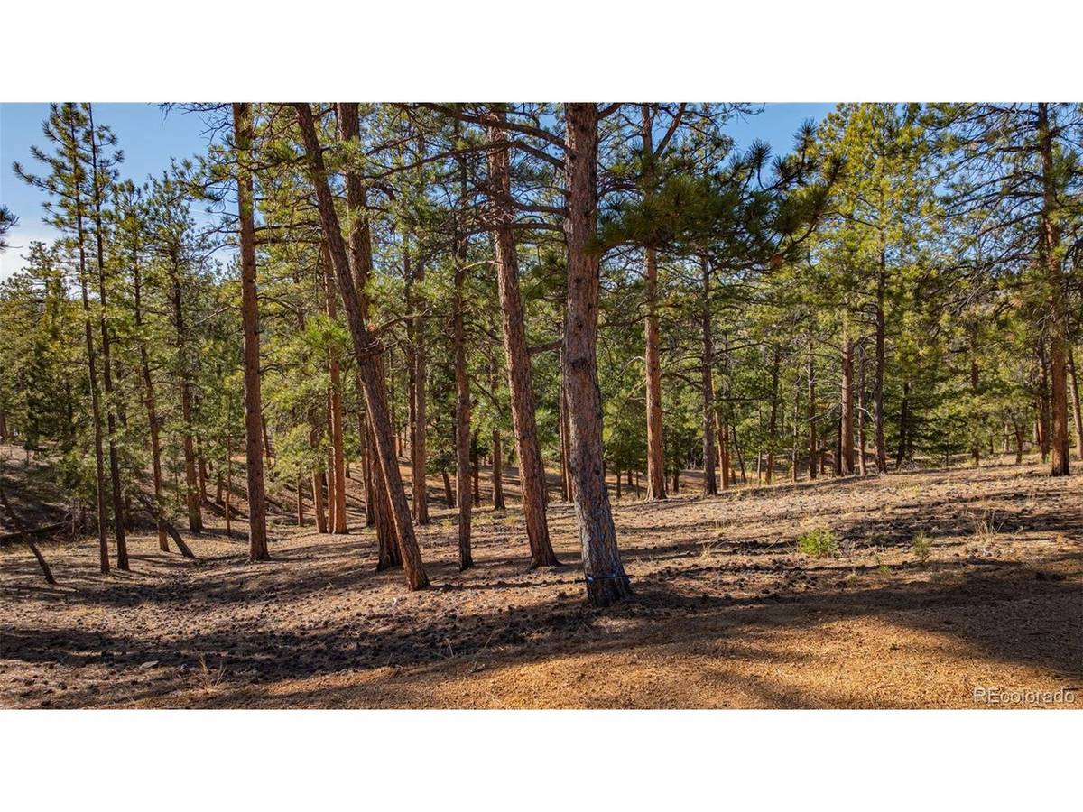 113 Schmittel, Sedalia, CO 80135