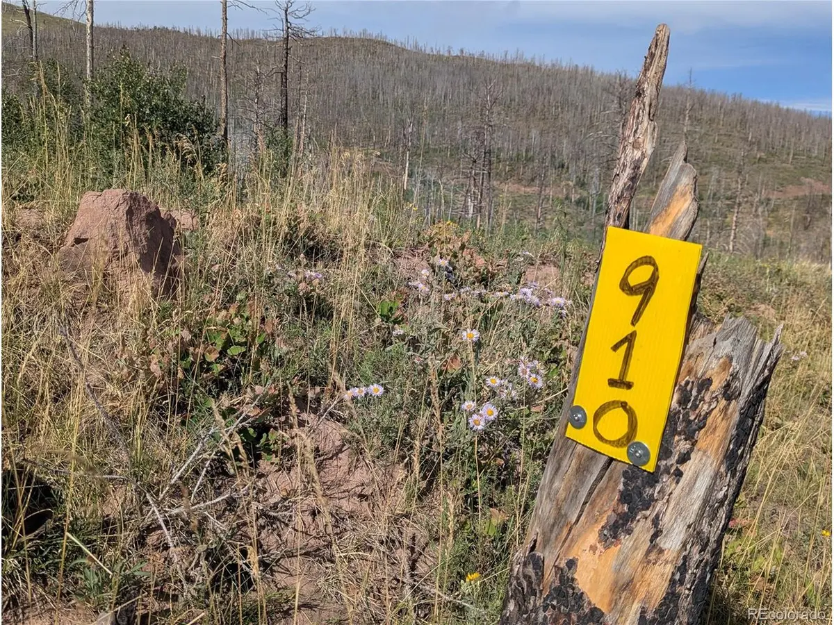 910 Ueda, Fort Garland, CO 81133