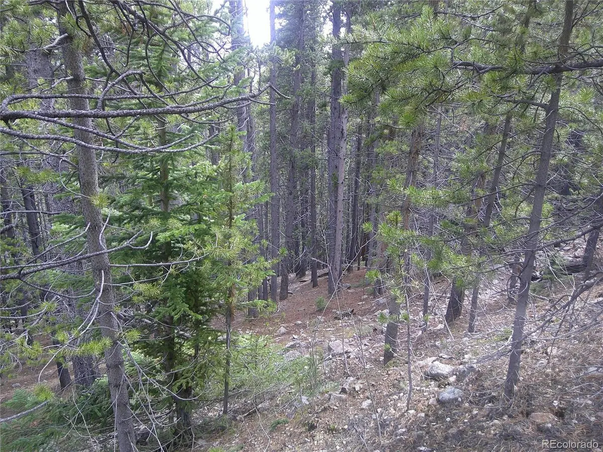 440 Hillside, Idaho Springs, CO 80452
