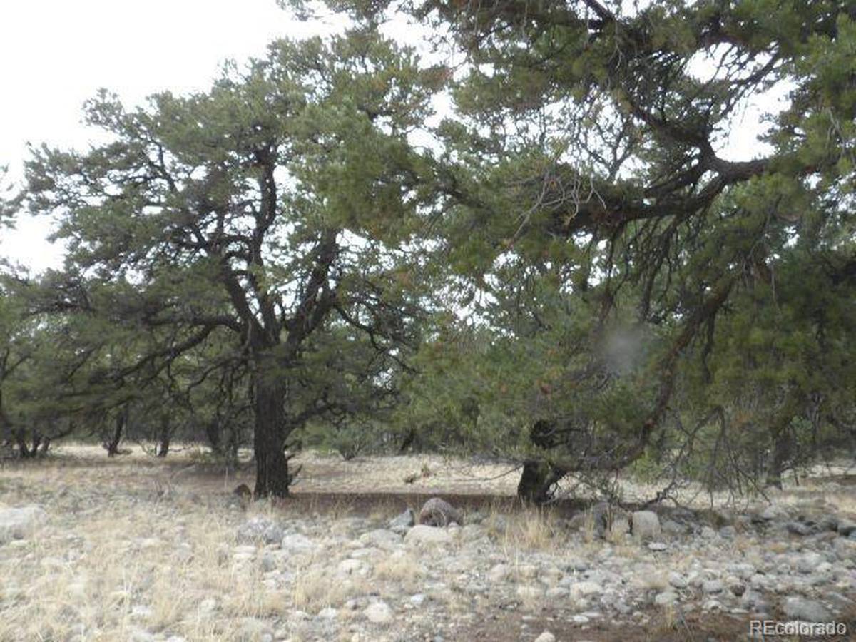 3730 Cordial, Crestone, CO 81131