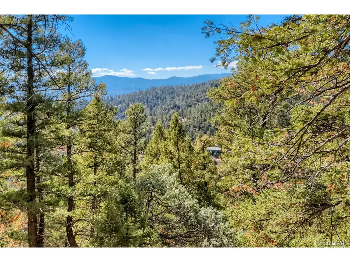 Elsie, Conifer, CO 80433