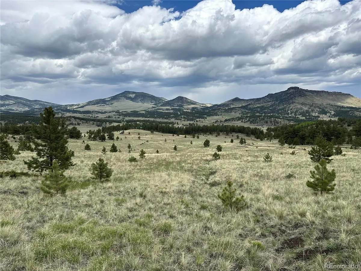 Address not disclosed, Guffey, CO 80820