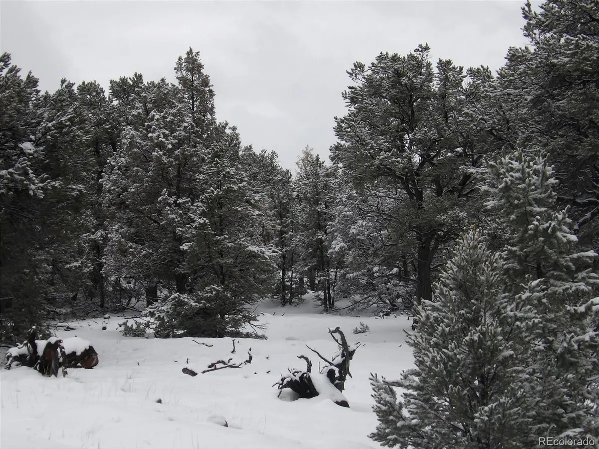 2119 Oriole Overlook, Crestone, CO 81131
