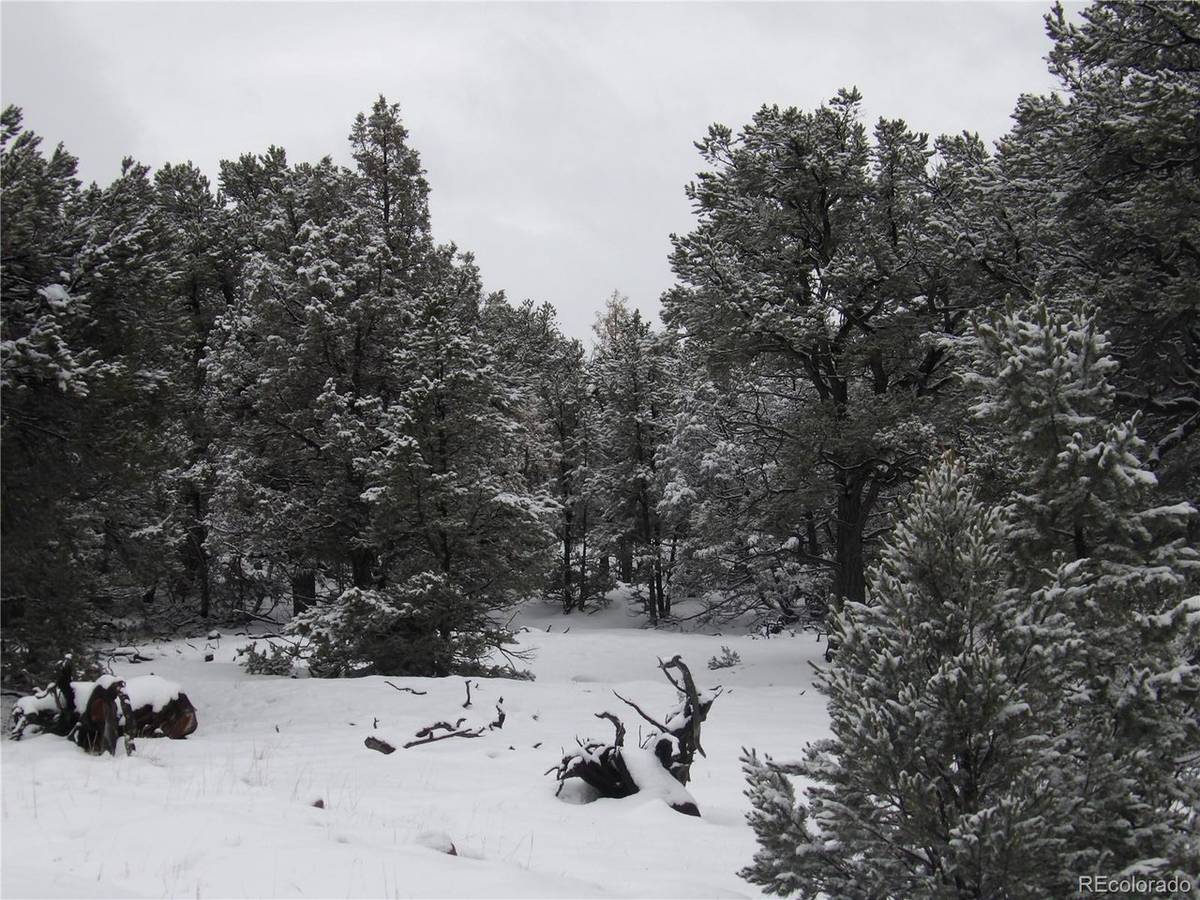 2119 Oriole Overlook, Crestone, CO 81131
