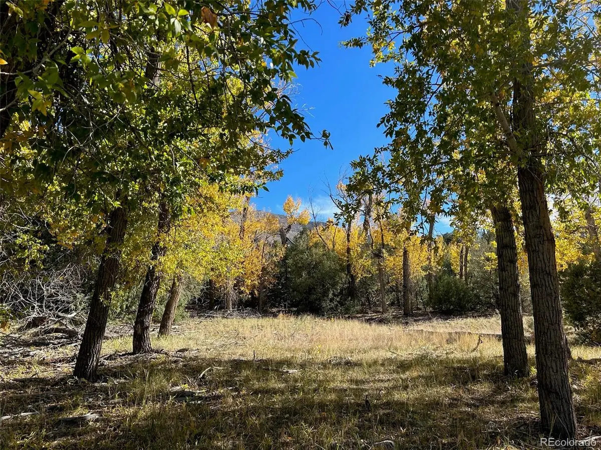 124 Indian Hill, Mosca, CO 81146