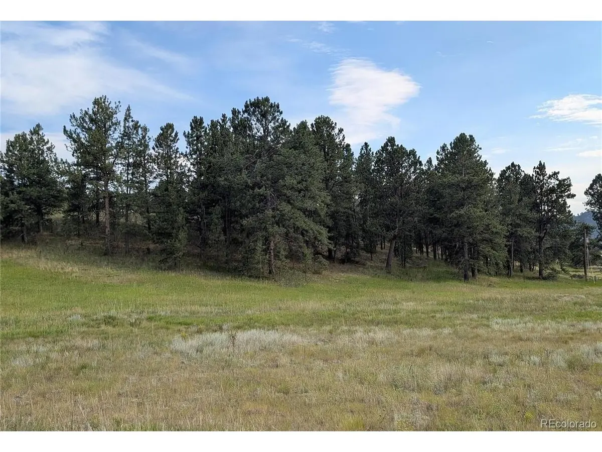 1379 S Mountain Estates, Florissant, CO 80816