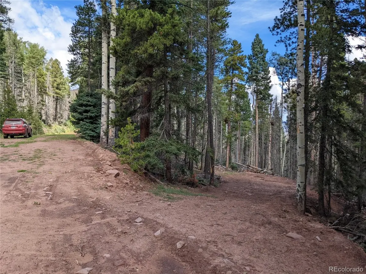 2379 Larry, Fort Garland, CO 81133