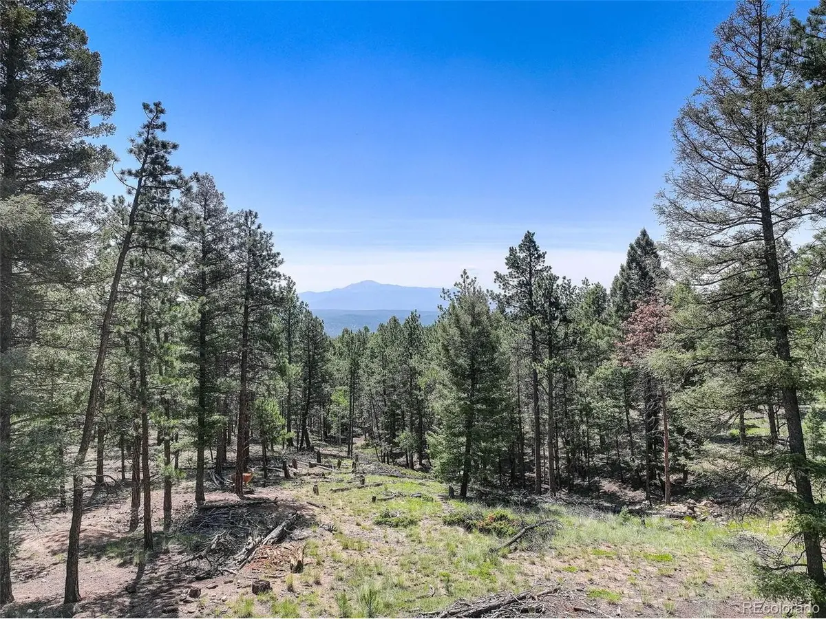 1002 Indian Creek, Florissant, CO 80816