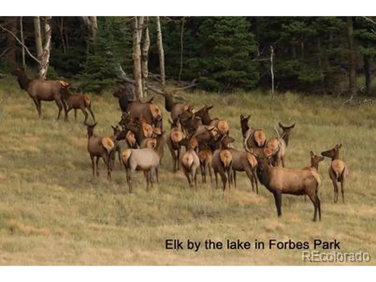 2354 Benton, Fort Garland, CO 81133