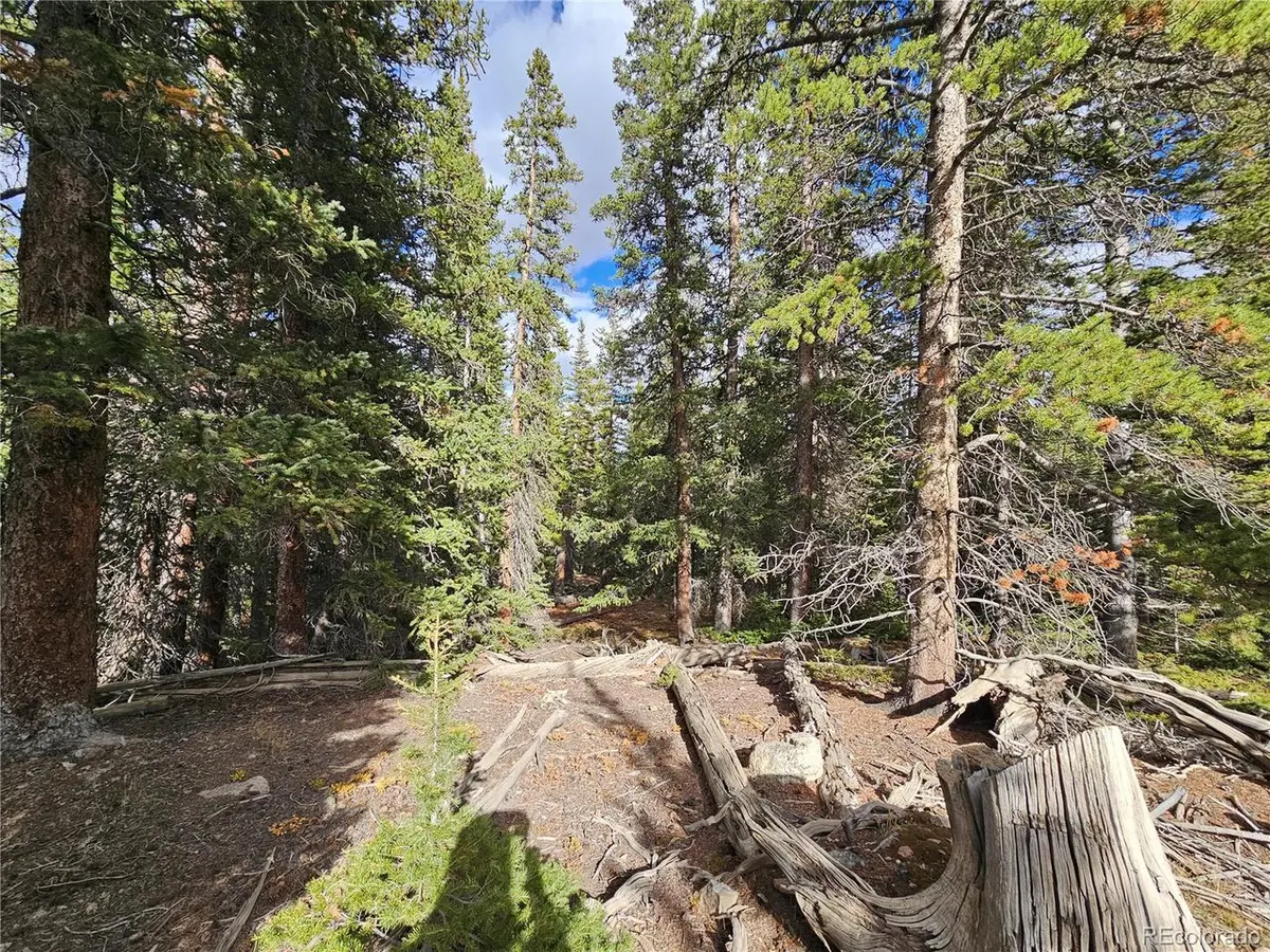 617 Gold Trail, Fairplay, CO 80440