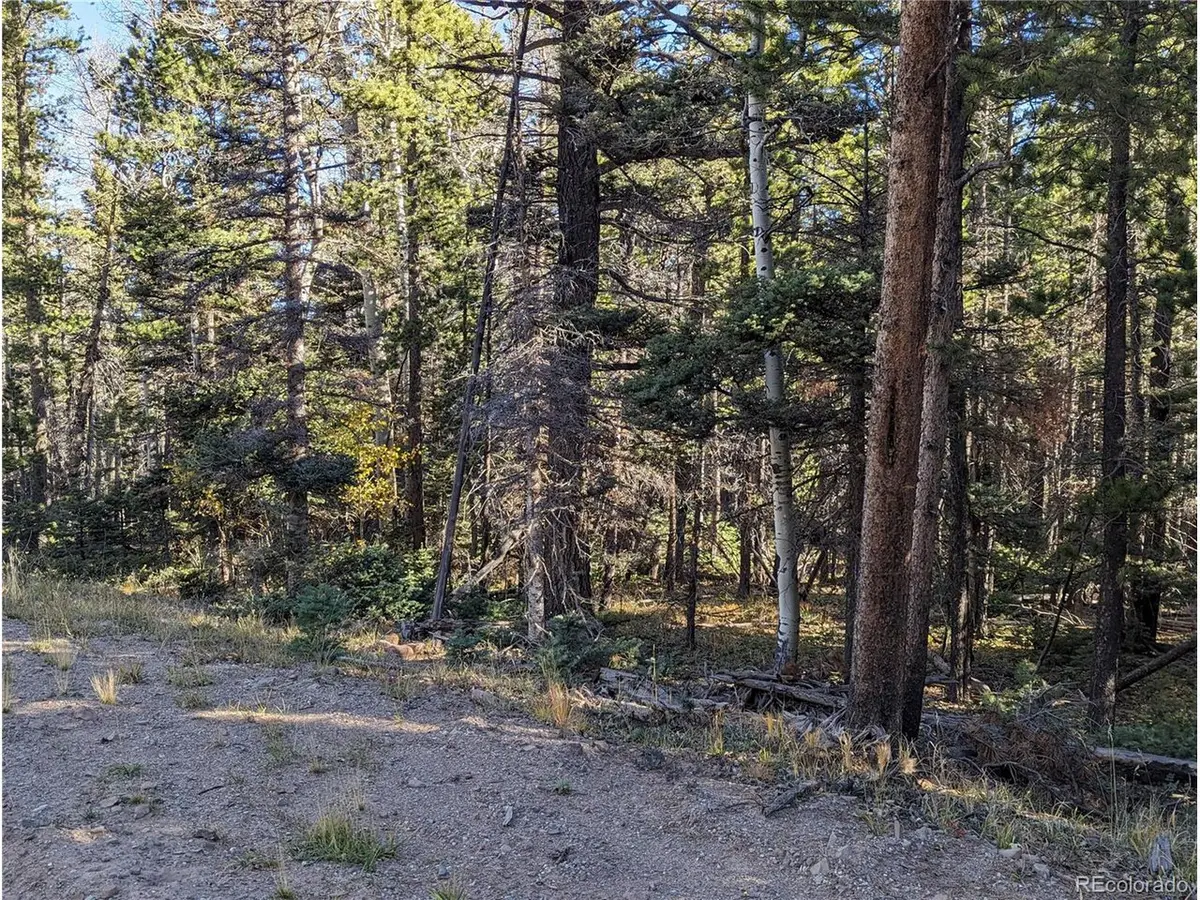 3067 Forbes Park, Fort Garland, CO 81133