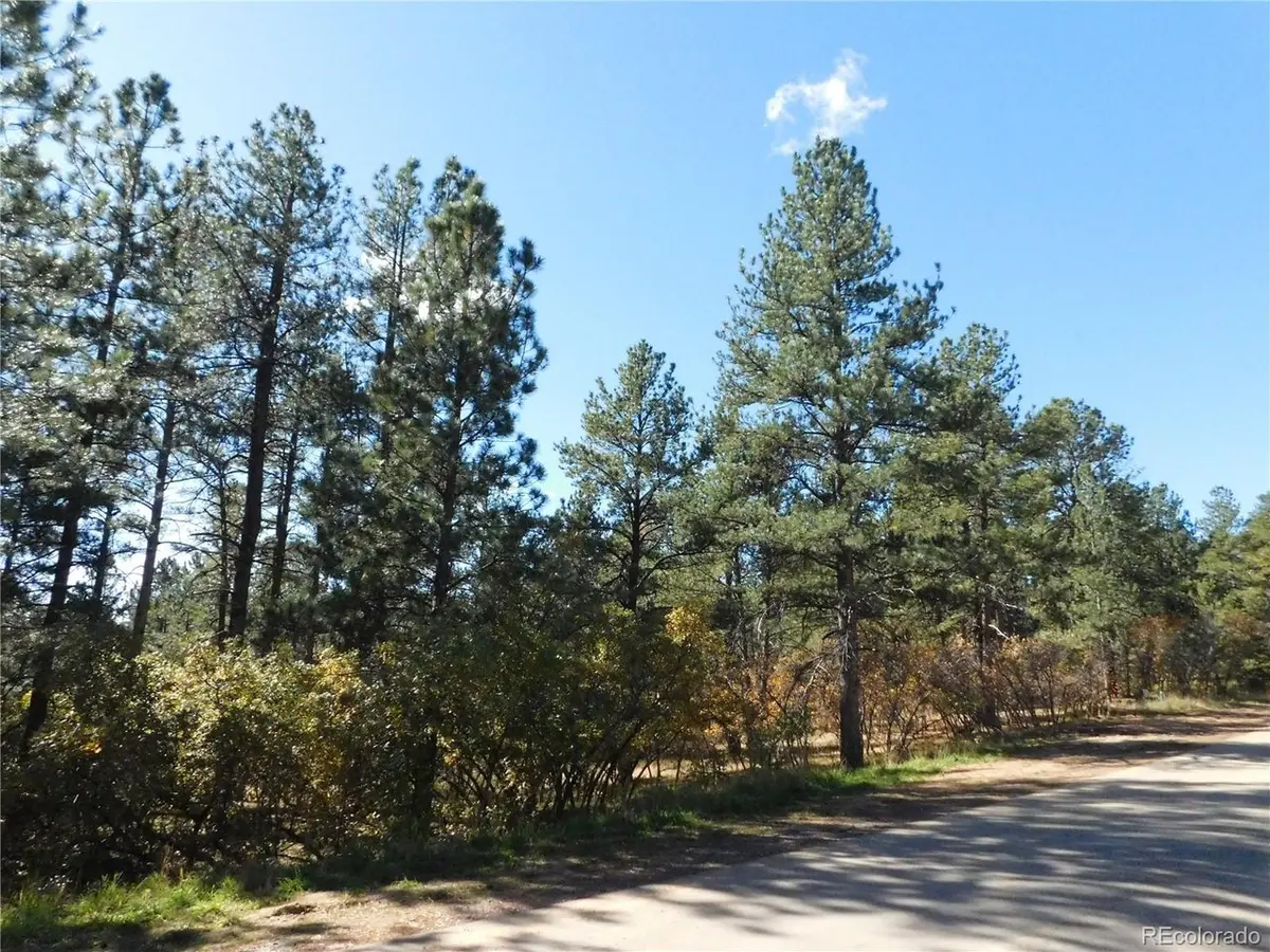 682 Copper Fox, Larkspur, CO 80118