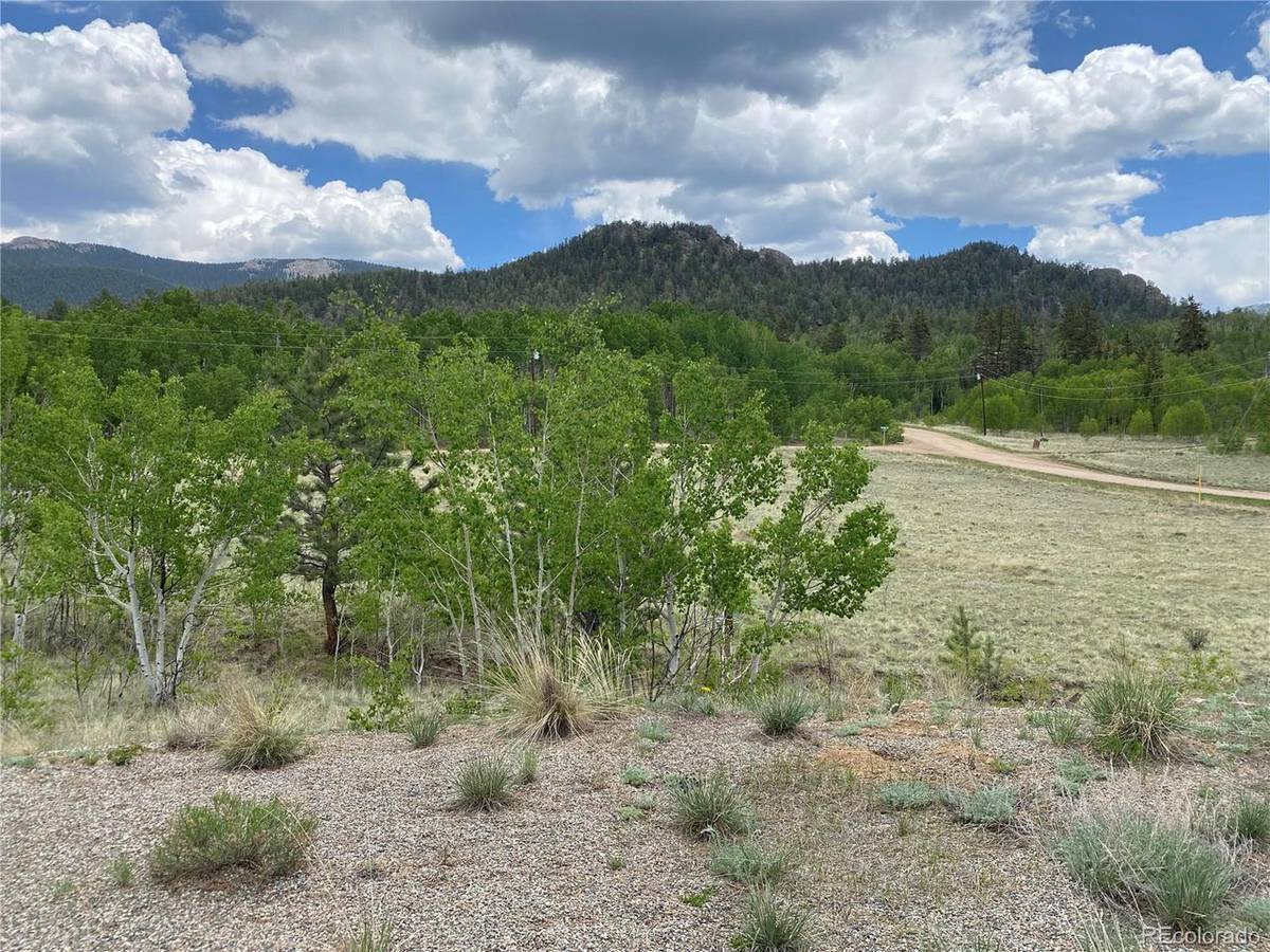 2071 Al Gulch, Jefferson, CO 80456