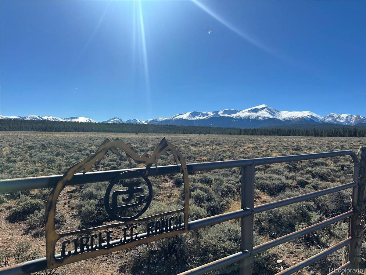 15 County Road 10, Leadville, CO 80461