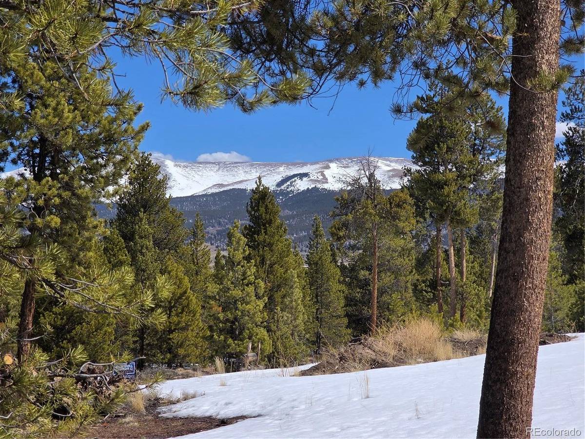 378 Ponderosa, Twin Lakes, CO 81251