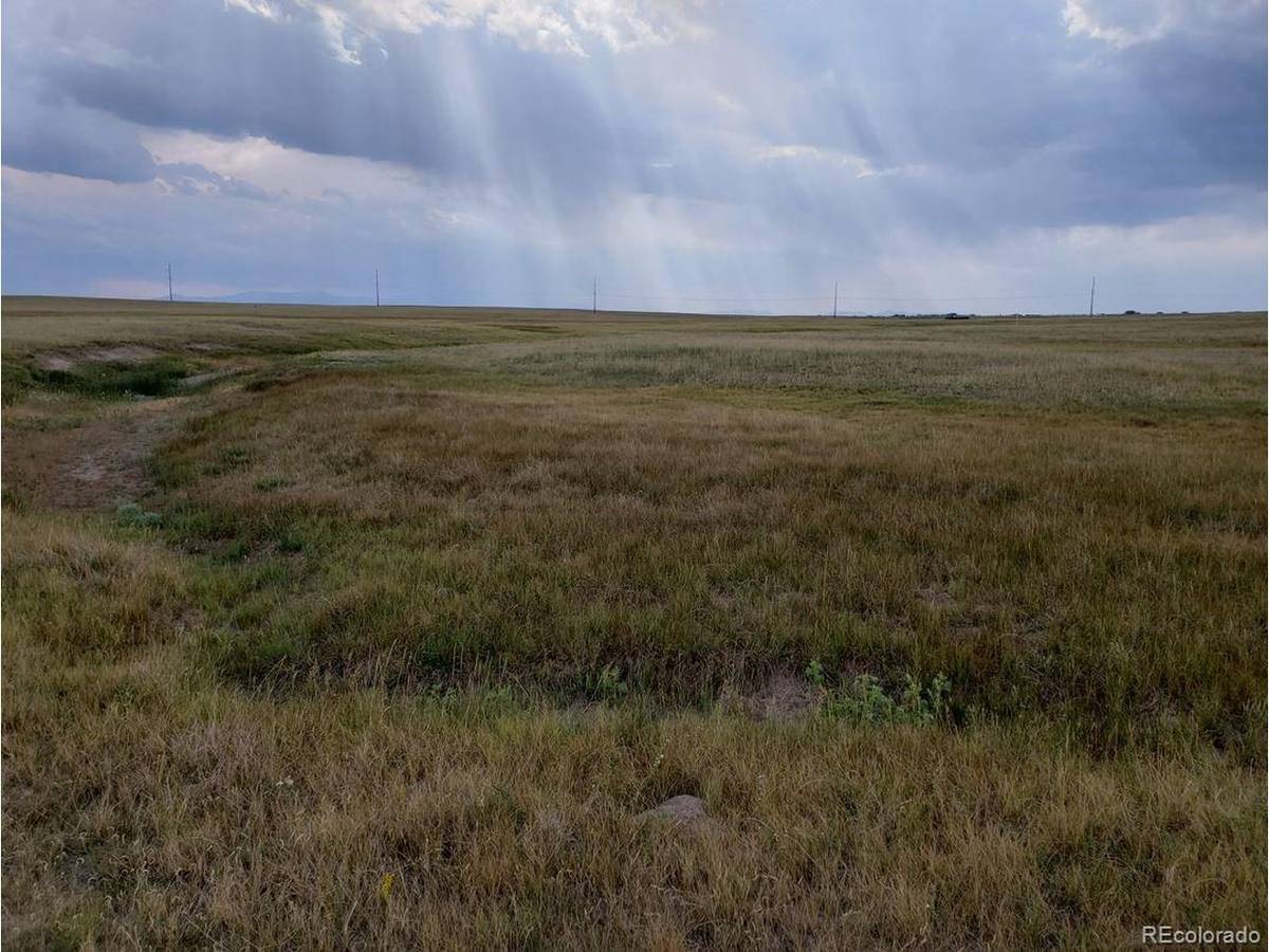 8155 Cowboy Ranch, Peyton, CO 80831