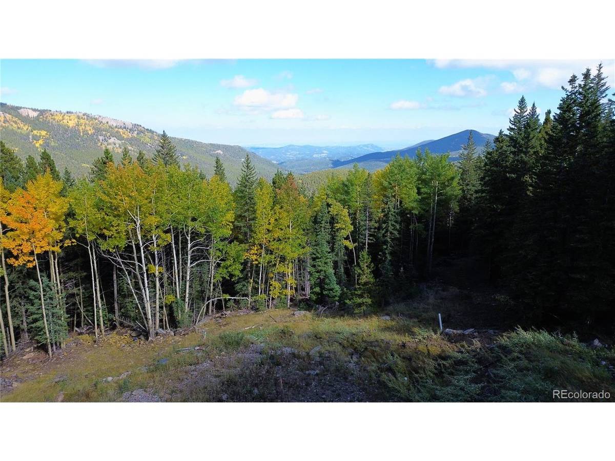429 Sawmill, Idaho Springs, CO 80452