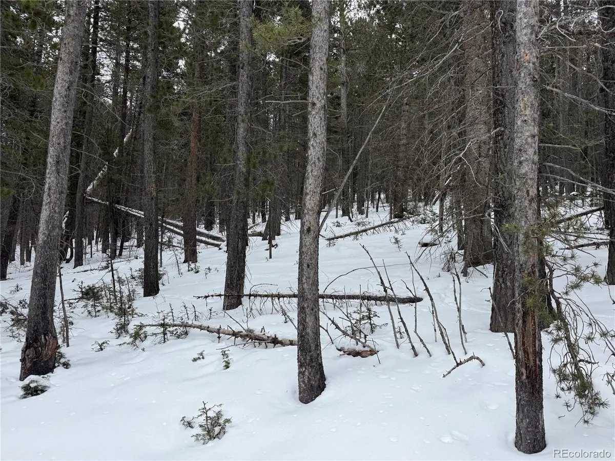 2759 Purnell, Fort Garland, CO 81133